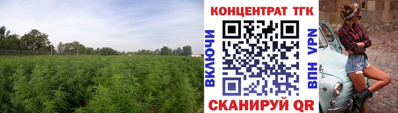 купить наркоту  Малоархангельск  ТГК жижа 