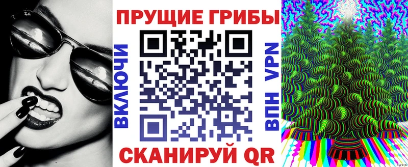 Псилоцибиновые грибы Psilocybine cubensis  кракен ссылки  Малоархангельск 